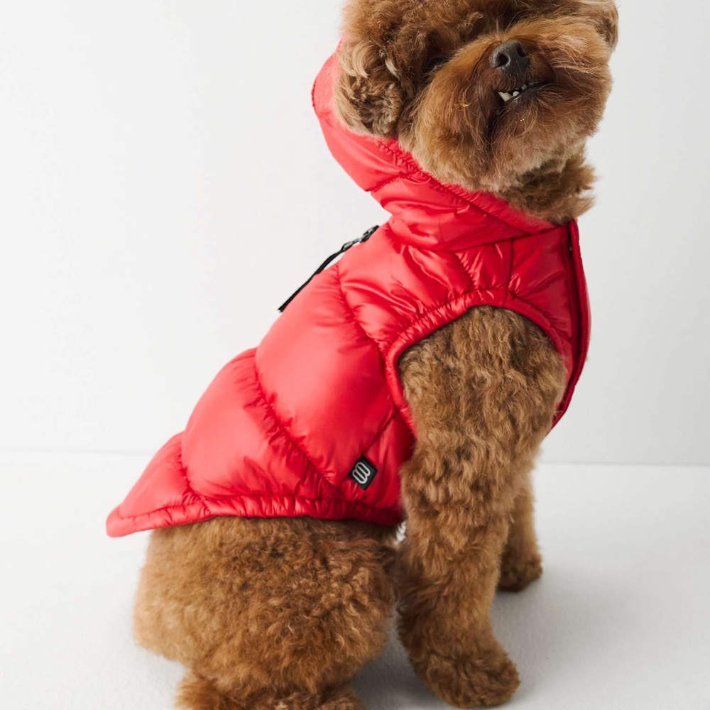 The Super Ruff Puff - Hi Gloss Size Small